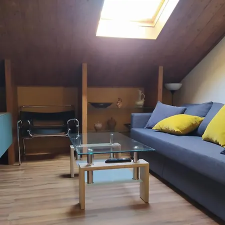 Ciervos - Pena Del Oso