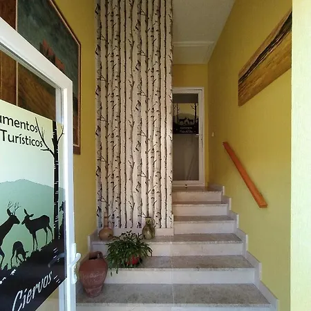 Ciervos - Pena Del Oso *