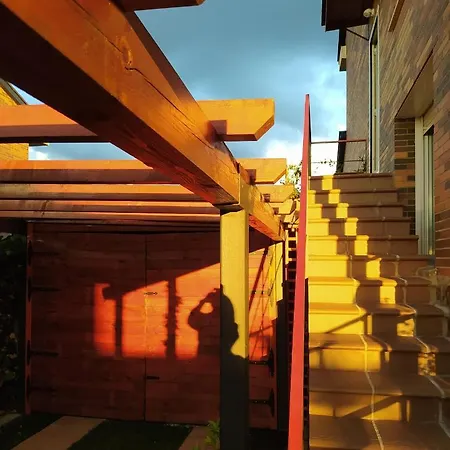 Ciervos - Pena Del Oso