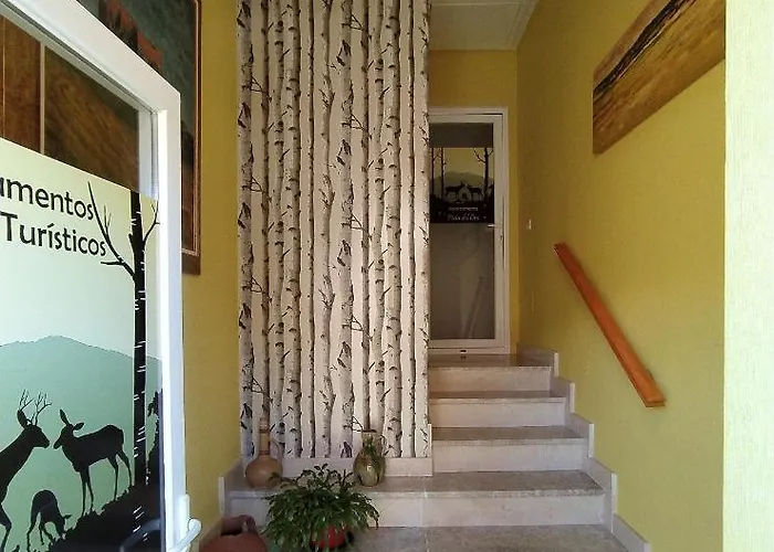 Ciervos - Pena Del Oso *