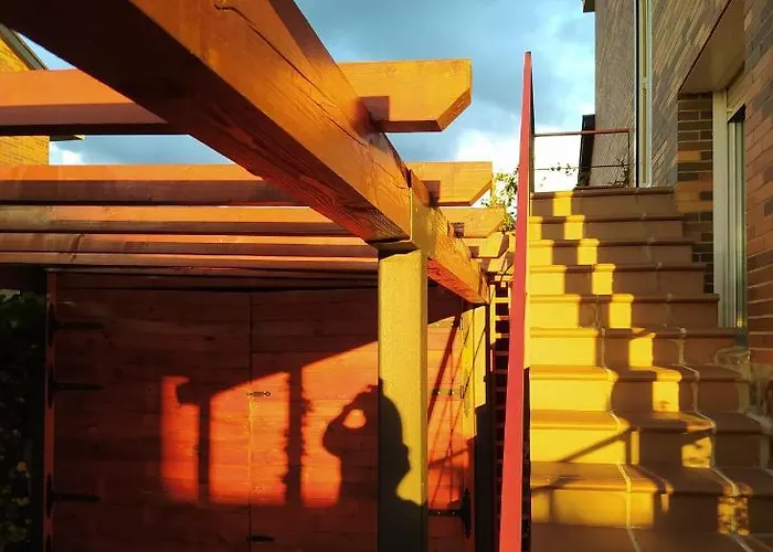 Ciervos - Pena Del Oso